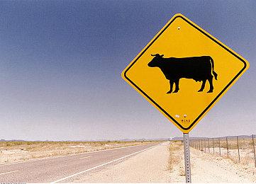 欢乐新游《PUI PUI天竺鼠车车》确定12月16日登陆Switch